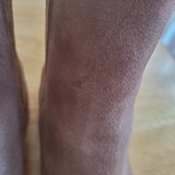 Dolce Vita suede ankle booties - Picture 8 of 16